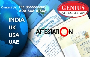 Notary attestation in non educational certificate in GENIUS